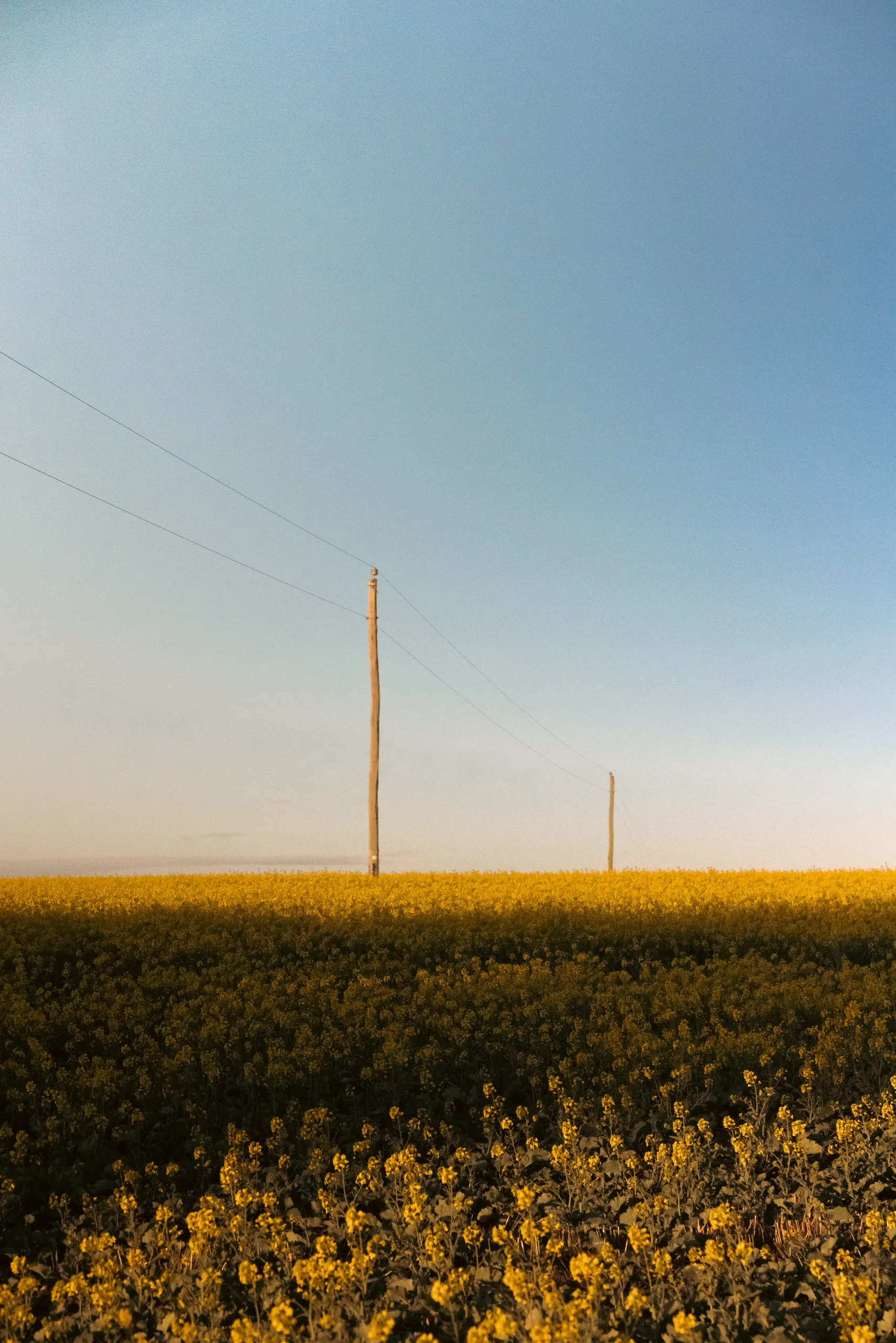 Farm landscape photography