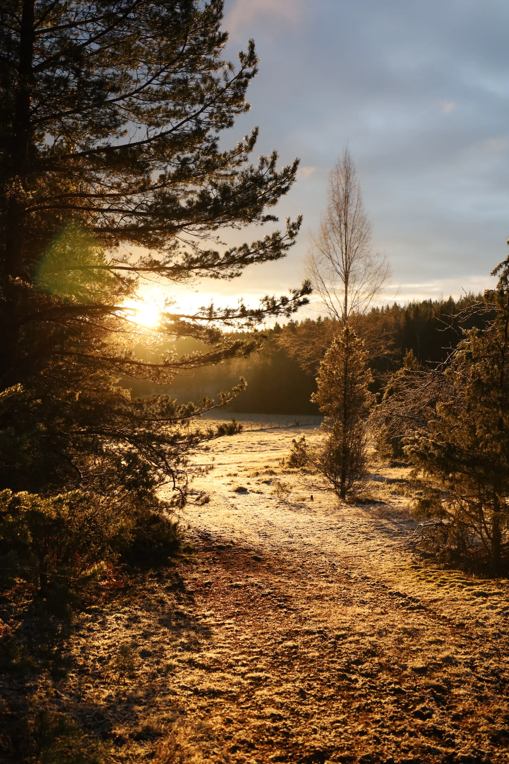 Finland sunrise photography