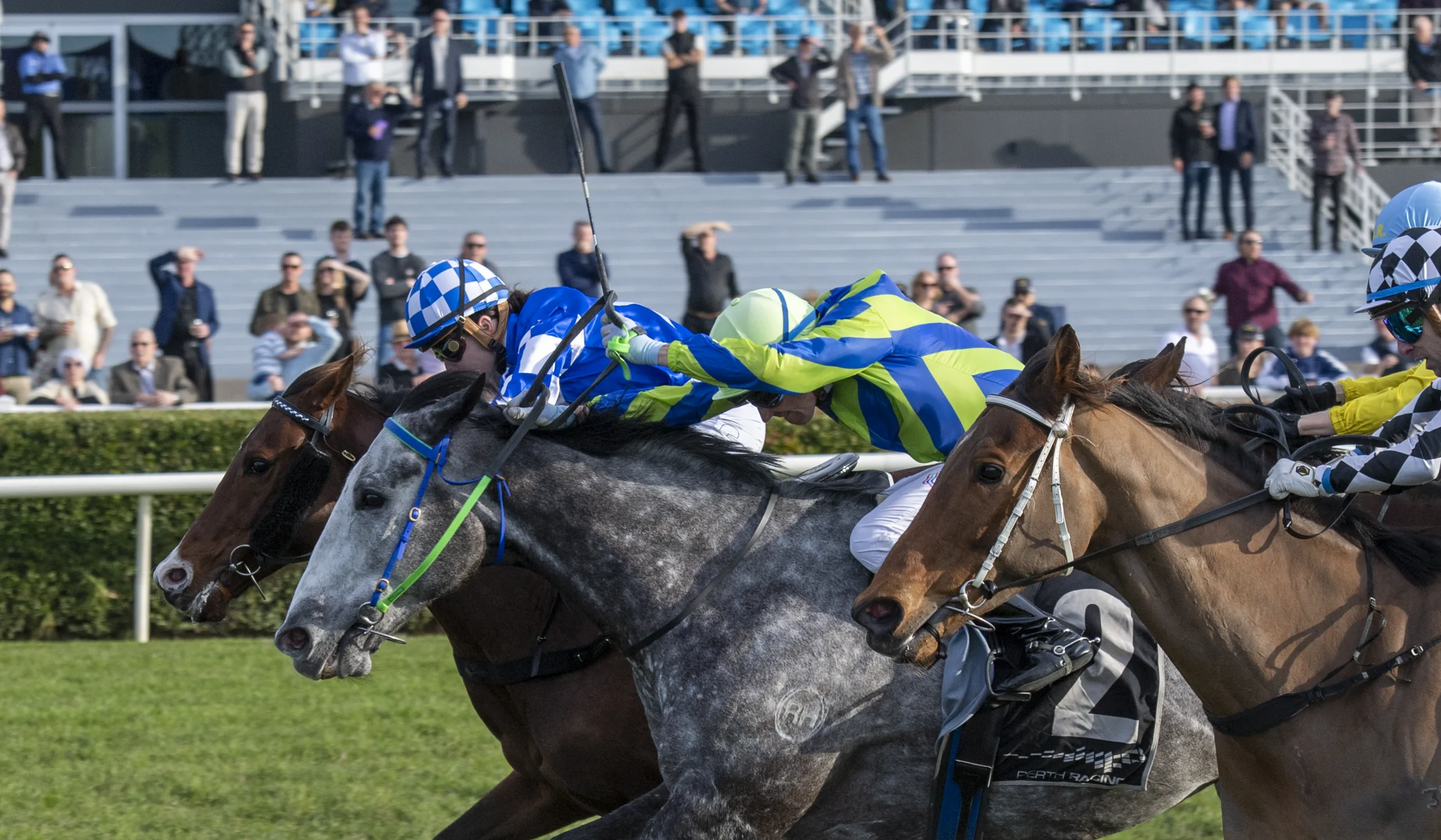 Fluro Neuro at Belmont racecourse