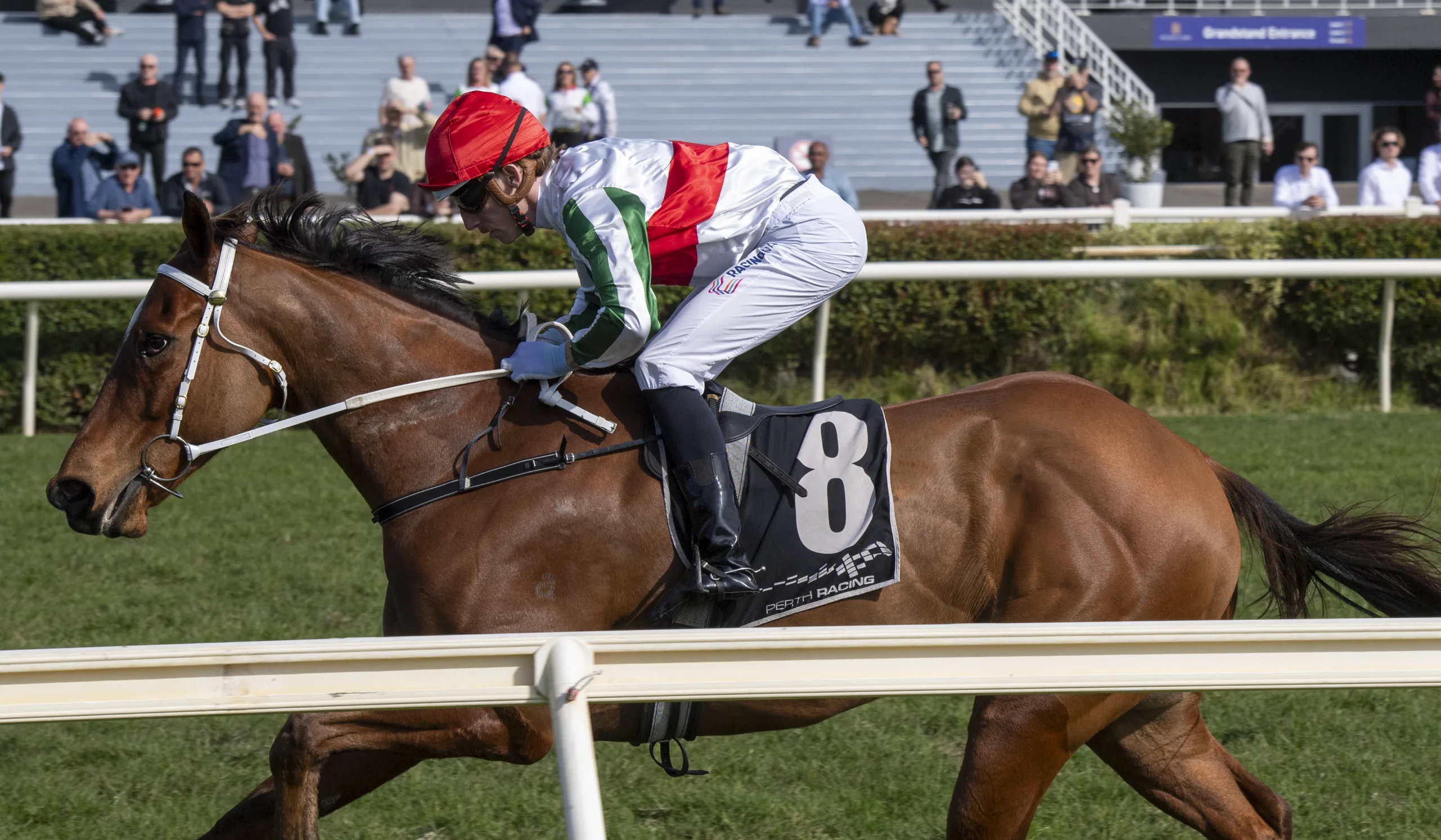 Pin Deep at Belmont racecourse.