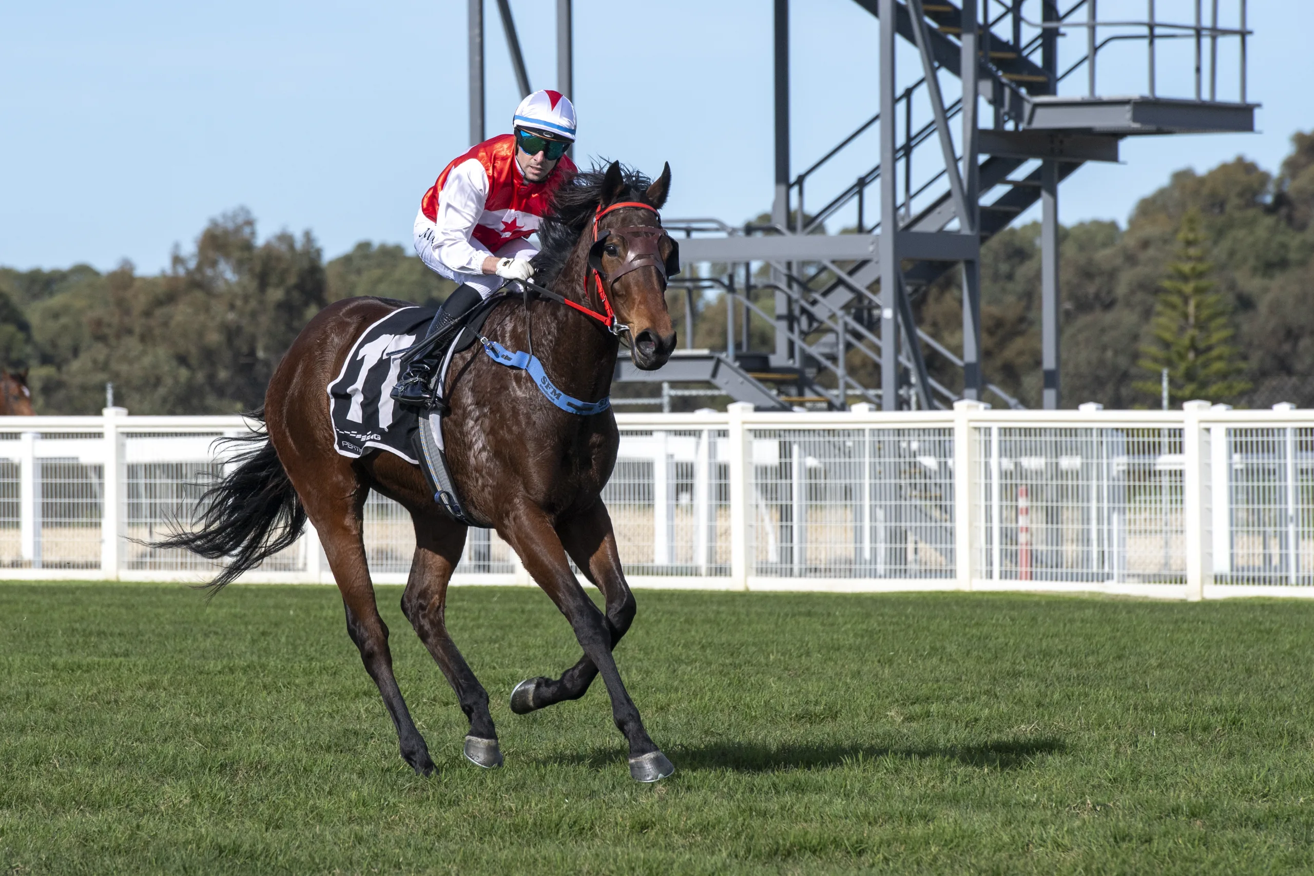 Tidwell Belmont at Belmont racecourse