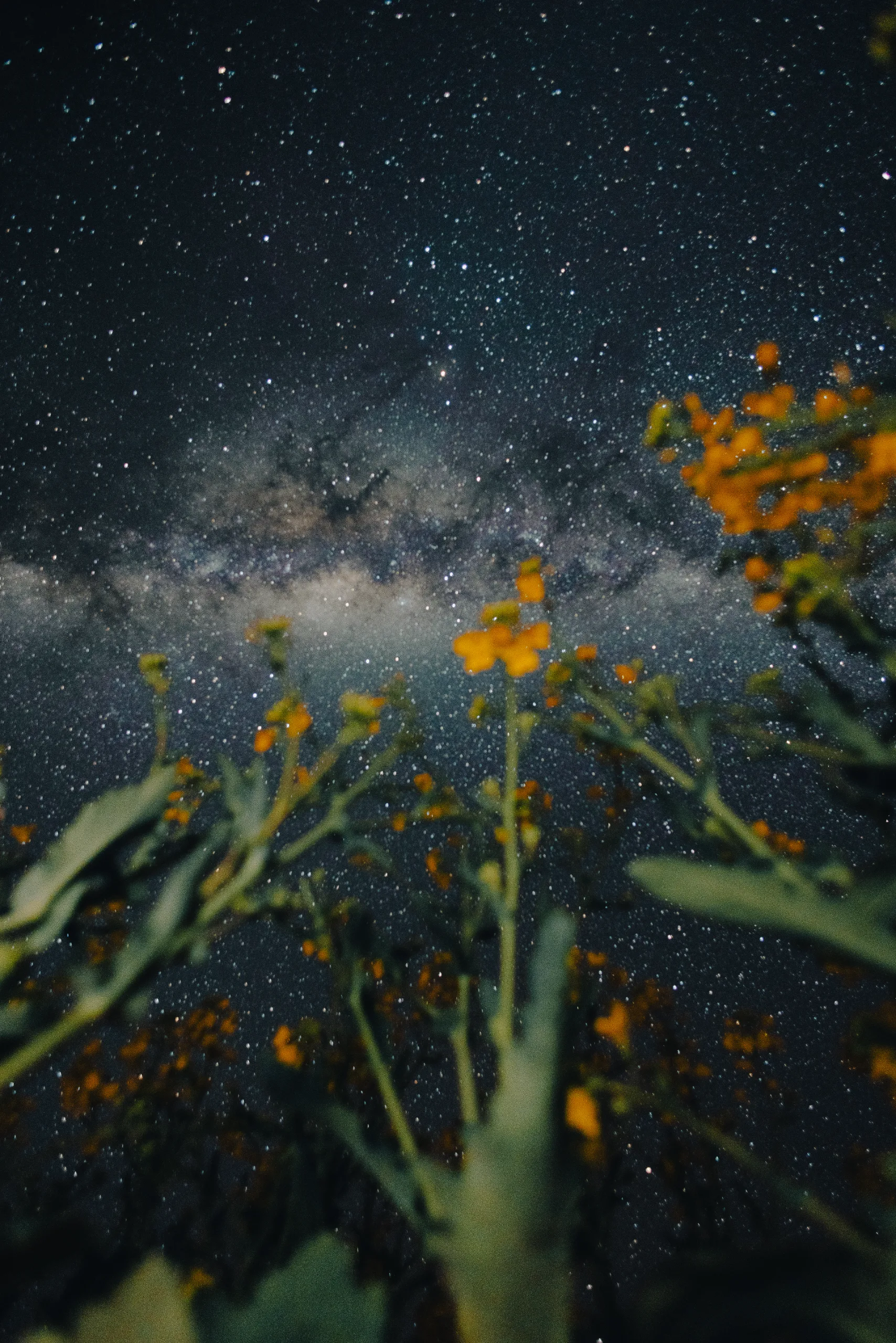 Milky Way night sky photography